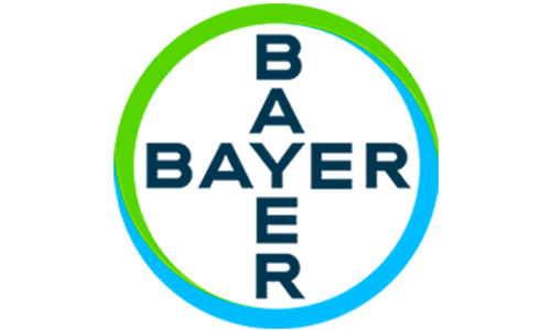 Bachelor's Degree in Pharmacy. BS Pharmacy in Spain